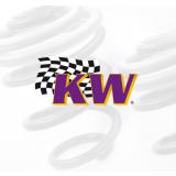 60110128 KW Race spring 100-70-250